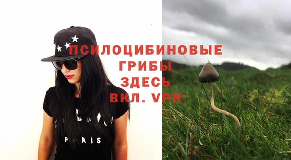 мет Осинники