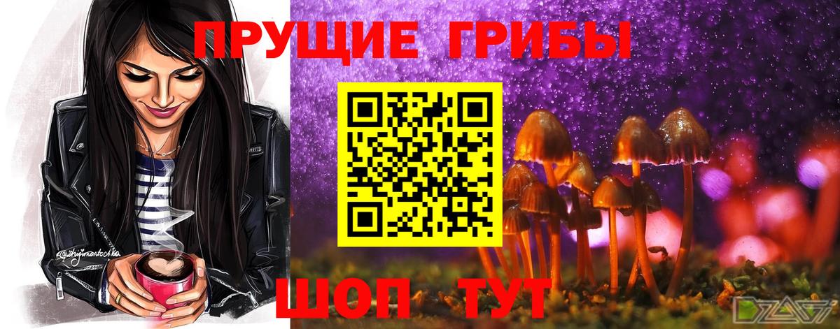 Псилоцибиновые грибы Psilocybe  Галлюциногенные грибы Psilocybine cubensis  Вход с VPN  Семилуки 